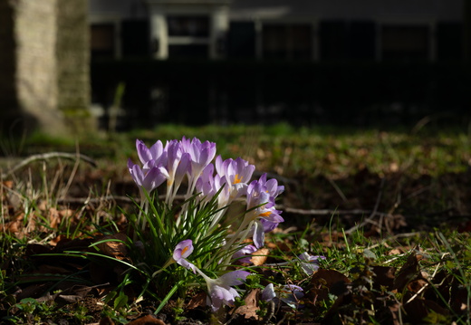 20250223-Loenen-110