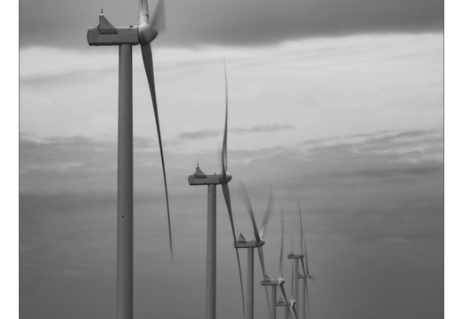 20250209-Flevopolder-130