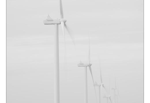 20250209-Flevopolder-132