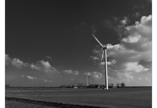 20250216-Flevopolder-106