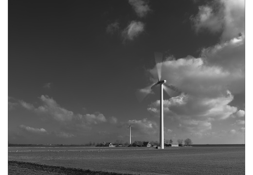 20250216-Flevopolder-107