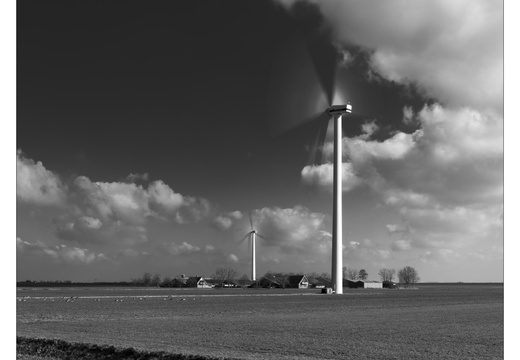 20250216-Flevopolder-110