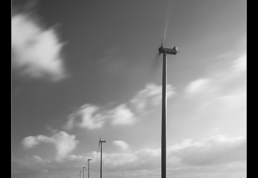 20250216-Flevopolder-117