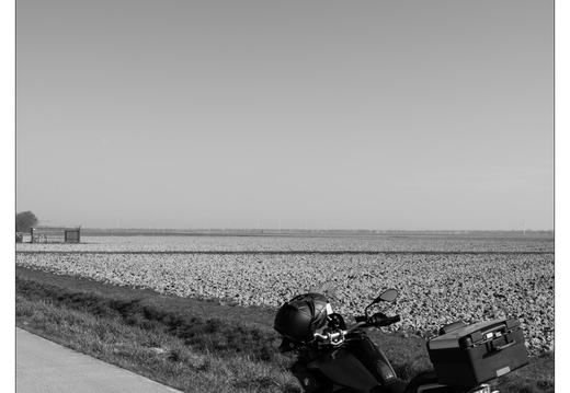 20250308-Motorrit-102