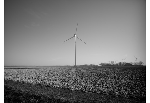 20250308-Motorrit-107