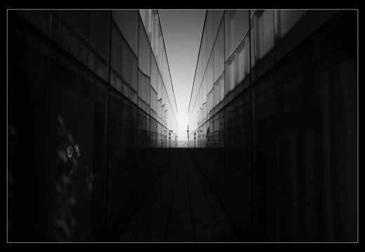 20250308-Motorrit-123