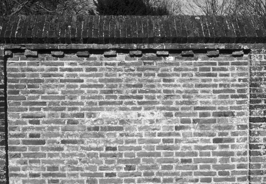 250315-CanonP-Voigtlander50mm-Delta100-107