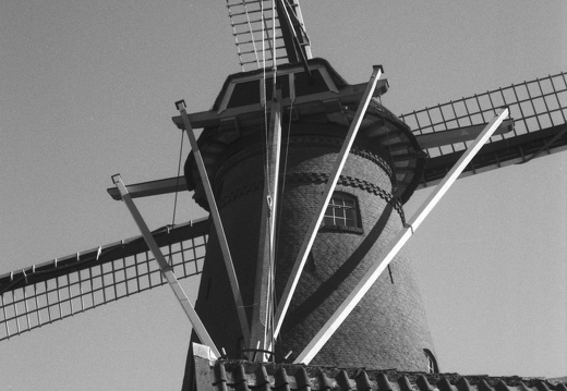 250315-CanonP-Voigtlander50mm-Delta100-113