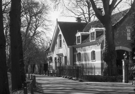 250315-CanonP-Voigtlander50mm-Delta100-119