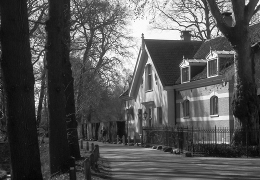 250315-CanonP-Voigtlander50mm-Delta100-129