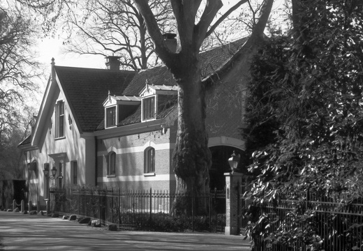 250315-CanonP-Voigtlander50mm-Delta100-132