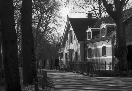 250315-CanonP-Voigtlander50mm-Delta100-134