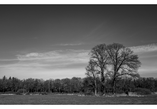 20250321-Fietsen-102