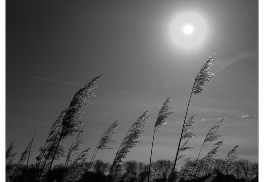 20250321-Fietsen-103