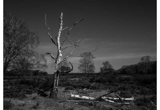 20250321-Fietsen-104