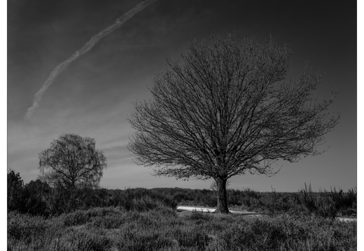 20250321-Fietsen-106