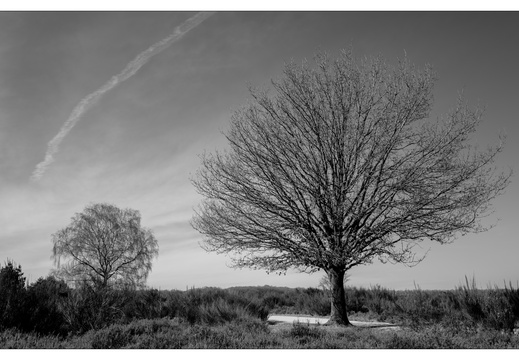 20250321-Fietsen-107