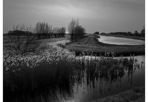 20250321-Fietsen-109