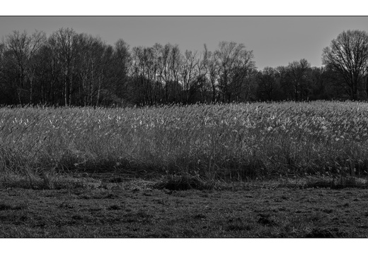 20250321-Fietsen-113