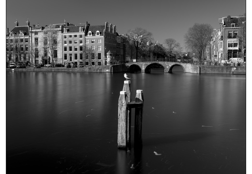 20250405-Amsterdam-105