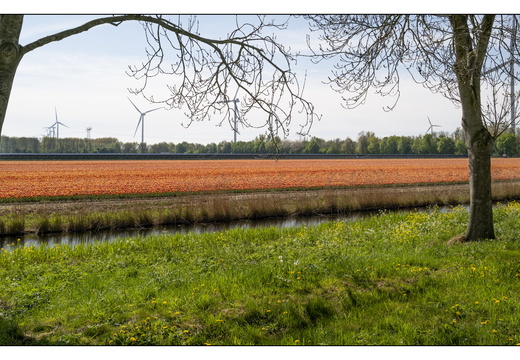 20250419-Paasweekend-103