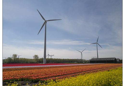 20250419-Paasweekend-106