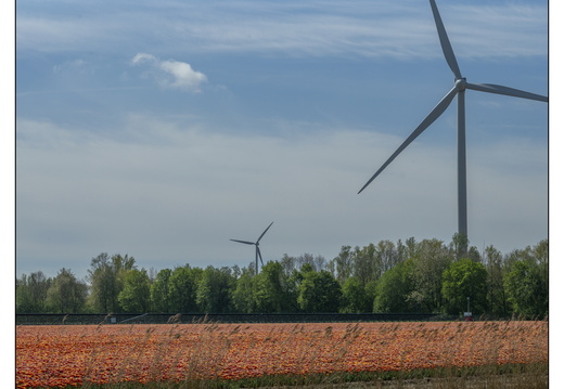 20250419-Paasweekend-108