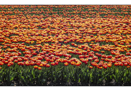 20250419-Paasweekend-113
