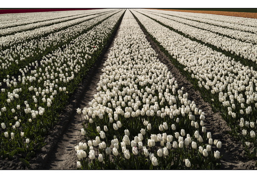 20250419-Paasweekend-129