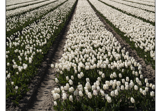 20250419-Paasweekend-130