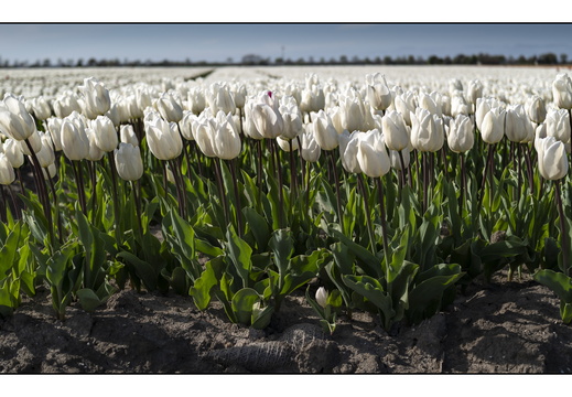 20250419-Paasweekend-133