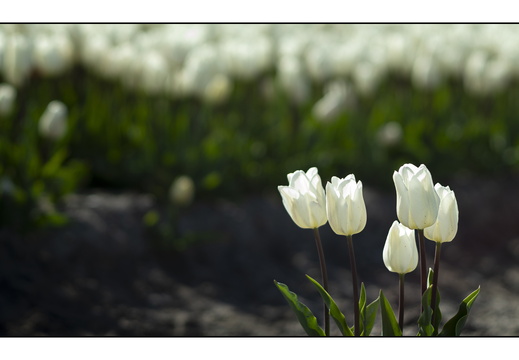 20250419-Paasweekend-134