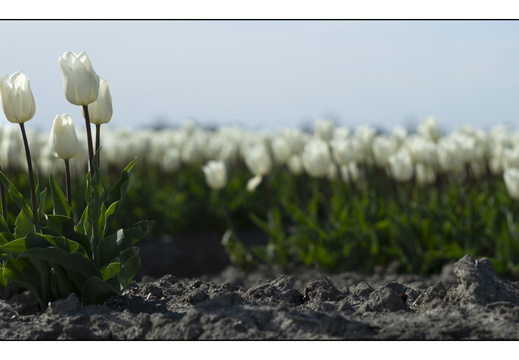 20250419-Paasweekend-135