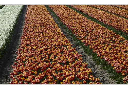 20250419-Paasweekend-138