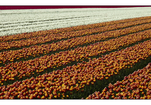 20250419-Paasweekend-139