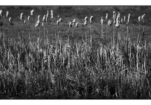 20250419-Paasweekend-142