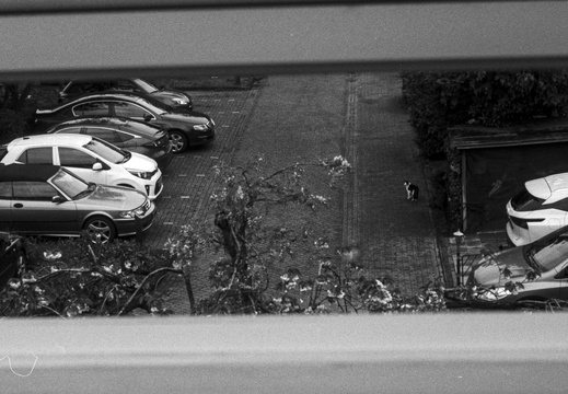 20250421-CanonVT-Nokton-Delta100-103