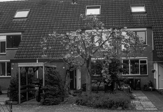 20250421-CanonVT-Nokton-Delta100-112