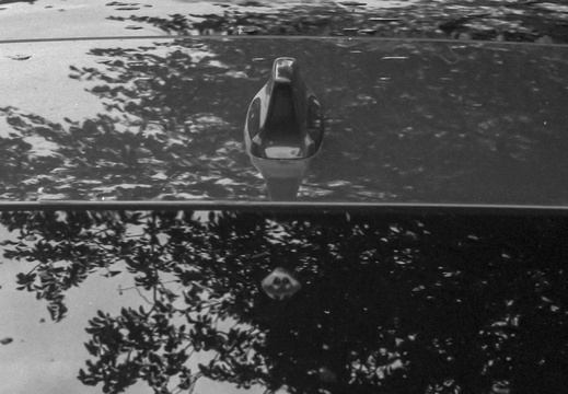 20250421-CanonVT-Nokton-Delta100-114