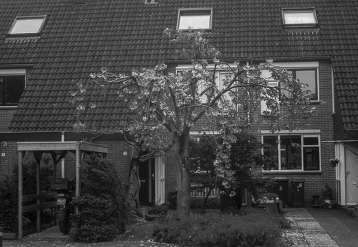 20250421-CanonVT-Nokton-Delta100-115