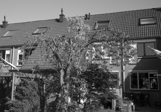 20250505-LeicaM4-35mm-ArcosII-Loenen-103