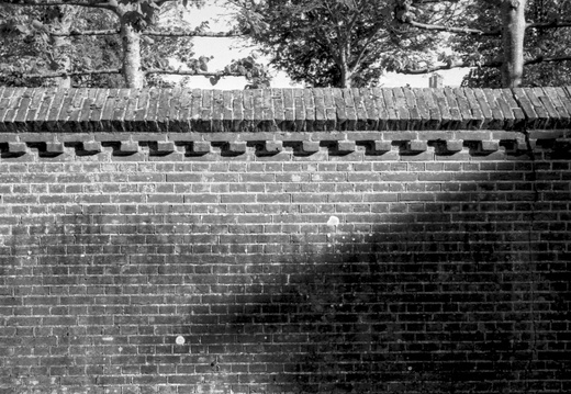20250505-LeicaM4-35mm-ArcosII-Loenen-105