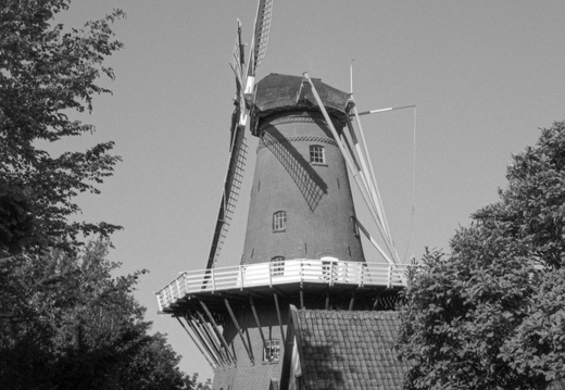 20250505-LeicaM4-35mm-ArcosII-Loenen-108