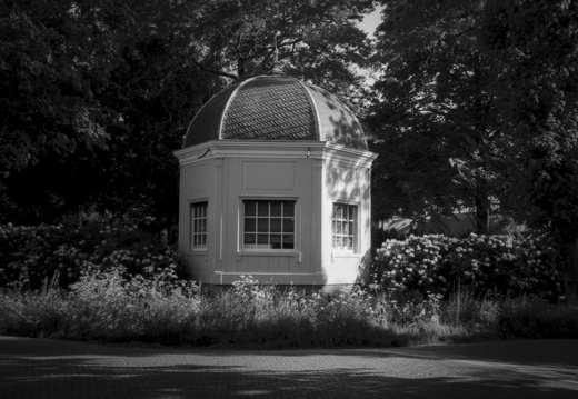 20250505-LeicaM4-35mm-ArcosII-Loenen-115
