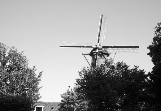 20250505-LeicaM4-35mm-ArcosII-Loenen-118