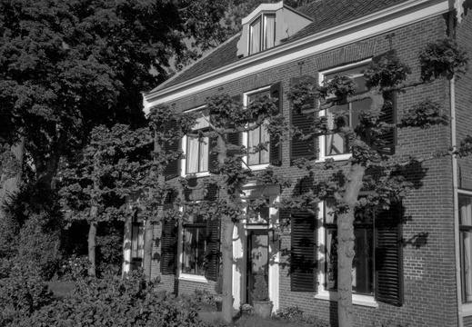 20250505-LeicaM4-35mm-ArcosII-Loenen-122
