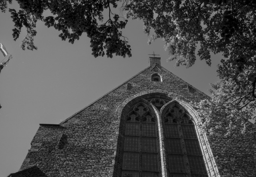 20250505-LeicaM4-35mm-ArcosII-Loenen-127