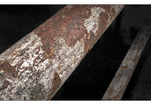 20250510-Fietsen-103