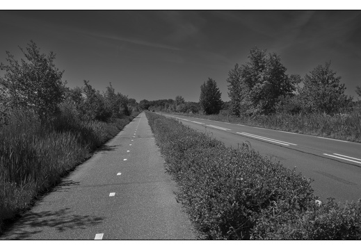 20250510-Fietsen-111