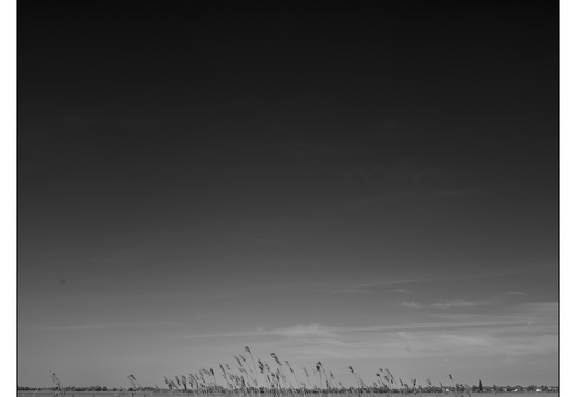 20250510-Fietsen-112